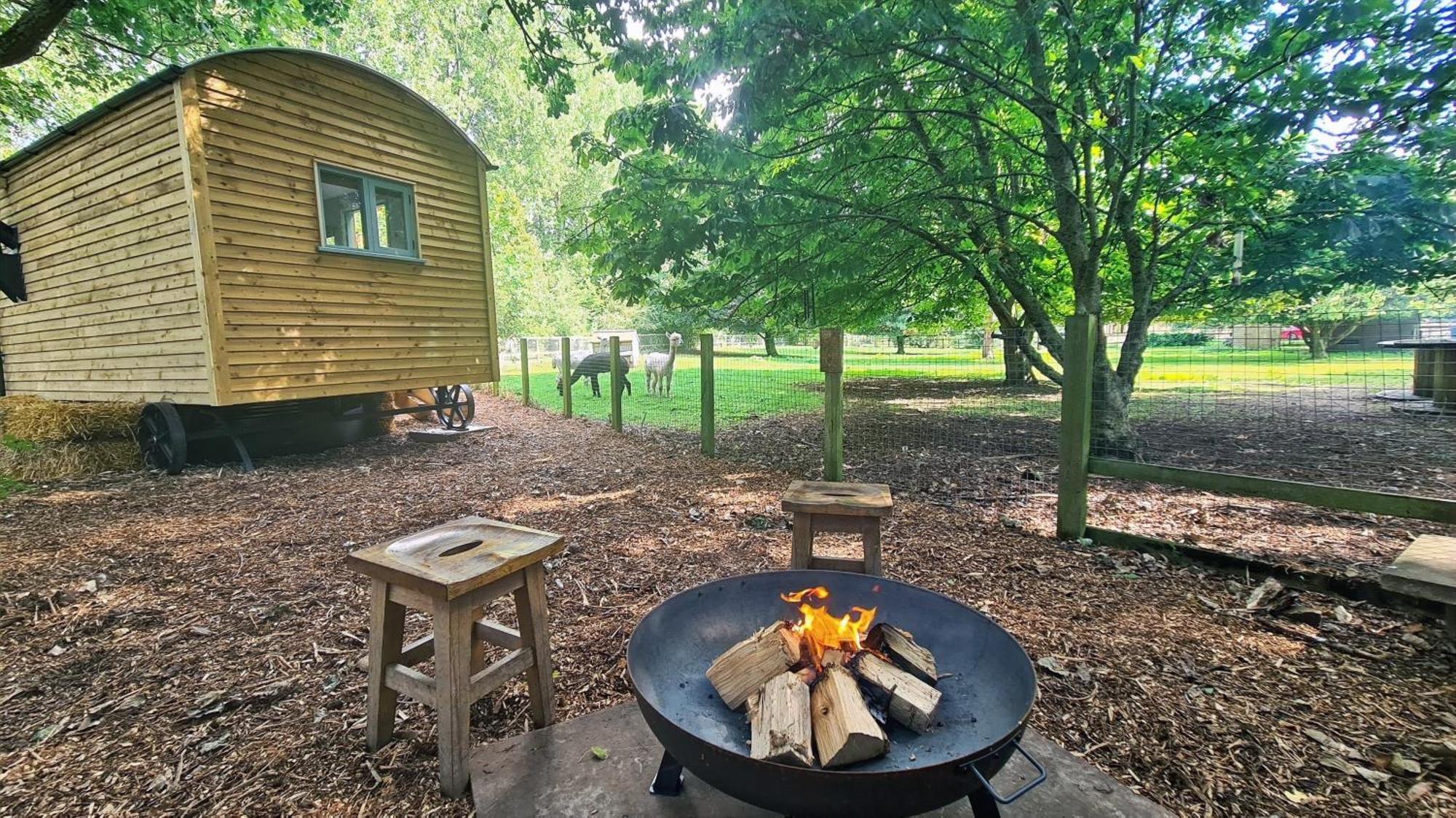 Hotel Horsley Hale Farm Glamping Ely Pokój zdjęcie